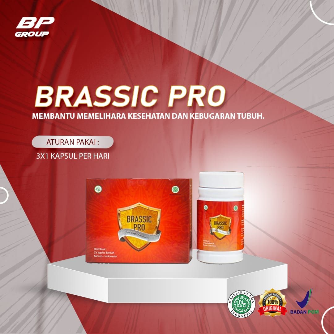 BRASSIC PRO